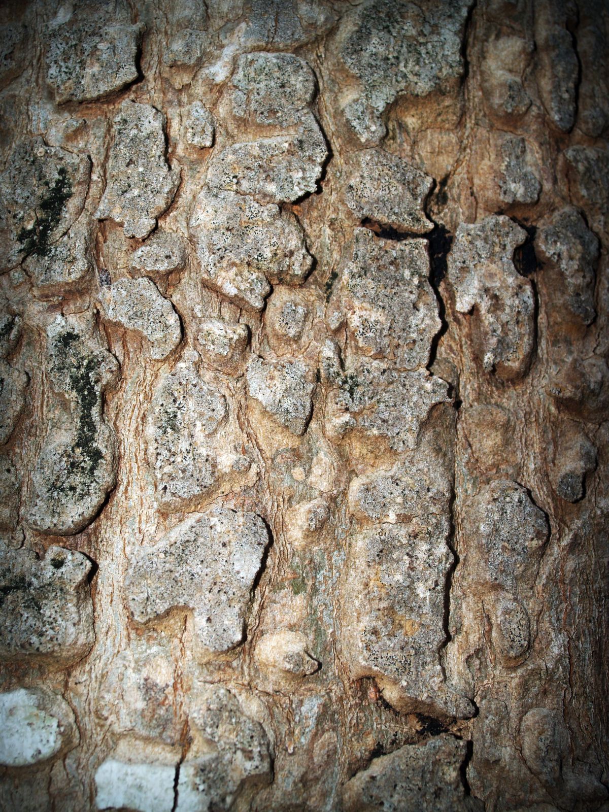 Baumärkte